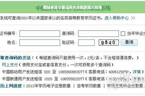 胃肠感冒诊断证明书详解及图片指南