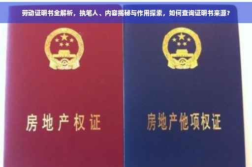 劳动证明书全解析，执笔人、内容揭秘与作用探索，如何查询证明书来源？