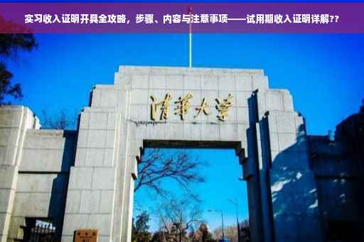 实习收入证明开具全攻略，步骤、内容与注意事项——试用期收入证明详解??