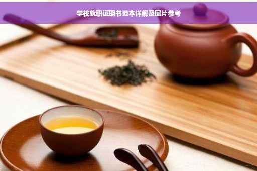 学校就职证明书范本详解及图片参考