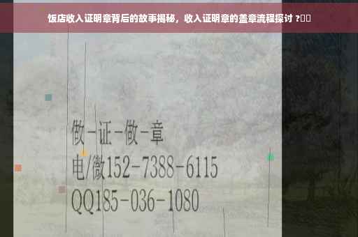 饭店收入证明章背后的故事揭秘，收入证明章的盖章流程探讨 ?⚡️