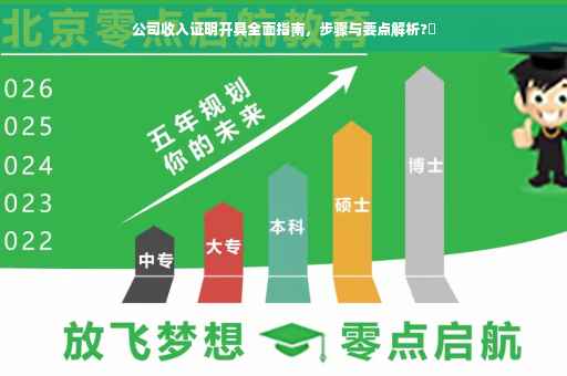公司收入证明开具全面指南，步骤与要点解析?✨