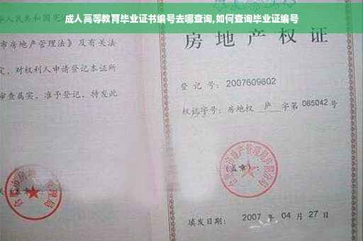 成人高等教育毕业证书编号去哪查询,如何查询毕业证编号