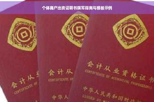 个体商户出资证明书撰写指南与模板示例