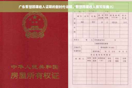 广东智慧团建收入证明的新时代诠释，智慧团建收入撰写指南 ?✨