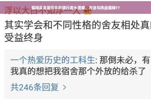 揭秘反贪案件中的银行流水调查，方法与挑战揭秘??