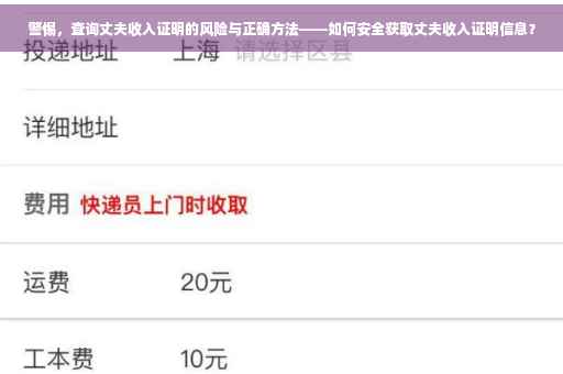 警惕，查询丈夫收入证明的风险与正确方法——如何安全获取丈夫收入证明信息？