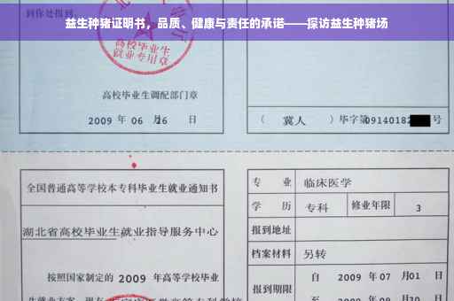 益生种猪证明书，品质、健康与责任的承诺——探访益生种猪场