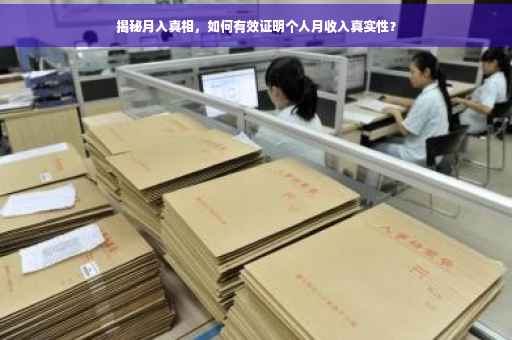 揭秘月入真相，如何有效证明个人月收入真实性？