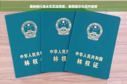 揭秘银行流水无沉淀现象，真相揭示与应对策略