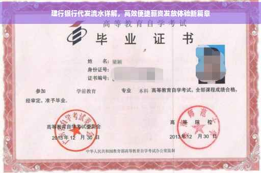 建行银行代发流水详解，高效便捷薪资发放体验新篇章