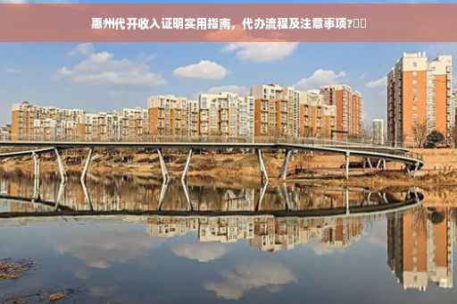 惠州代开收入证明实用指南，代办流程及注意事项?⚡️