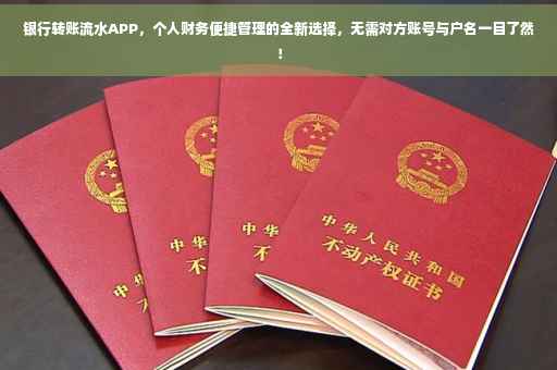 银行转账流水APP，个人财务便捷管理的全新选择，无需对方账号与户名一目了然！