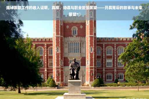 揭秘医院工作的收入证明，真相、待遇与职业前景展望——开具背后的故事与未来展望?✨