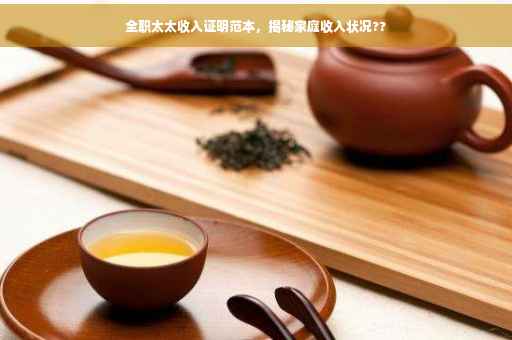 全职太太收入证明范本，揭秘家庭收入状况??