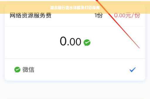 湖北银行流水详解及打印指南