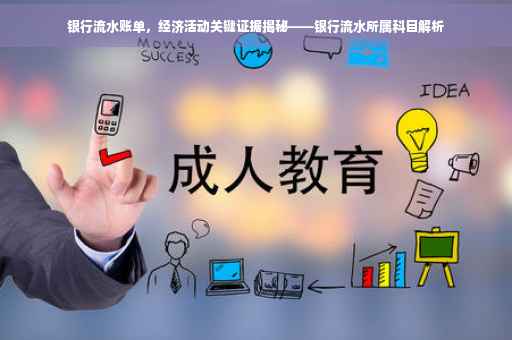 银行流水账单，经济活动关键证据揭秘——银行流水所属科目解析