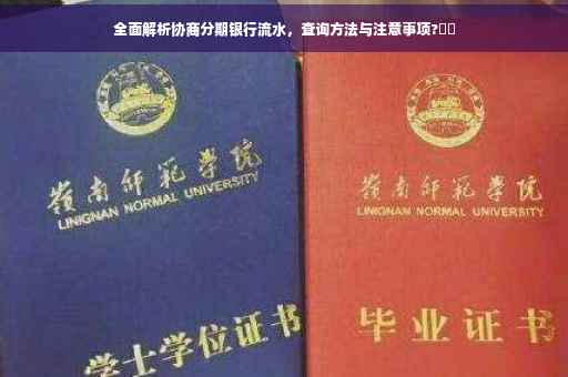全面解析协商分期银行流水，查询方法与注意事项?⚡️