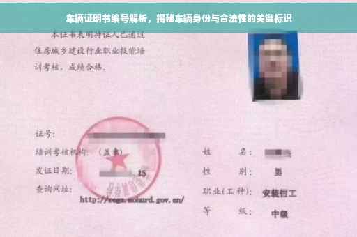 车辆证明书编号解析，揭秘车辆身份与合法性的关键标识