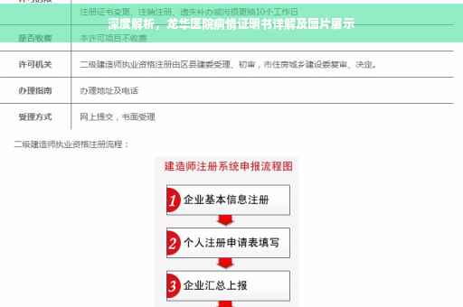 深度解析，龙华医院病情证明书详解及图片展示
