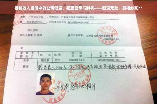 揭秘收入证明中的公司假章，犯罪警示与剖析——假章无效，真相必究??