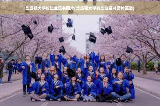 华盛顿大学的毕业证书图片(华盛顿大学的毕业证书图片高清)