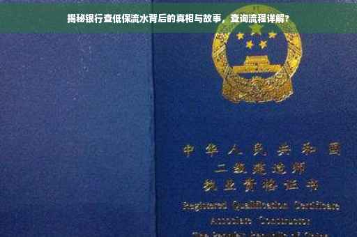 揭秘银行查低保流水背后的真相与故事，查询流程详解?