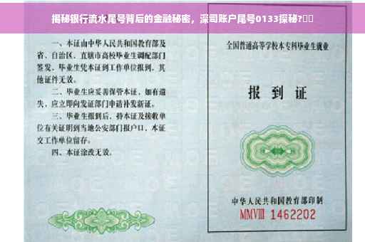 揭秘银行流水尾号背后的金融秘密，深司账户尾号0133探秘?⚡️
