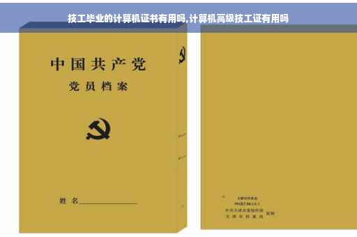 技工毕业的计算机证书有用吗,计算机高级技工证有用吗