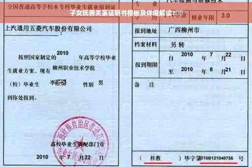 子女抚养关系证明书模板及详细解读?⚡️