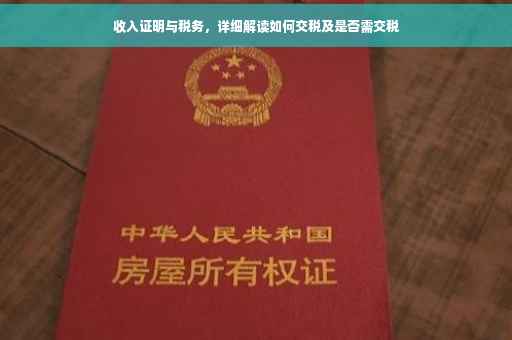 收入证明与税务，详细解读如何交税及是否需交税