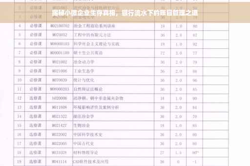 揭秘小微企业生存真相，银行流水下的账目管理之道