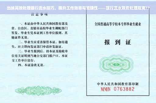 出纳高效处理银行流水技巧，提升工作效率与准确性——银行流水账务处理指南??