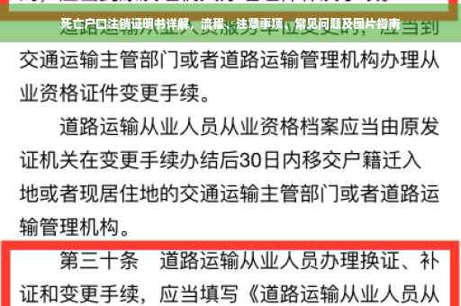 死亡户口注销证明书详解，流程、注意事项、常见问题及图片指南