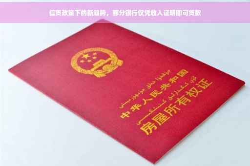 信贷政策下的新趋势，部分银行仅凭收入证明即可贷款