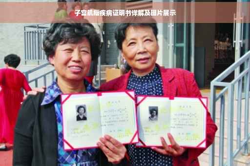 子宫肌瘤疾病证明书详解及图片展示