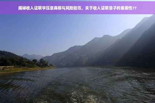 揭秘收入证明字压章真相与风险防范，关于收入证明章子的重要性??