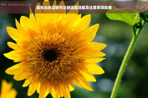 股东出资证明书注销流程详解及注意事项指南