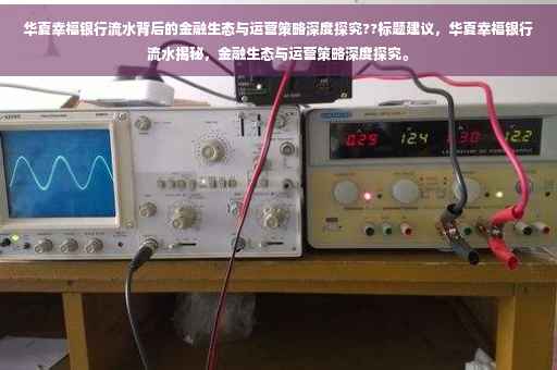 华夏幸福银行流水背后的金融生态与运营策略深度探究??标题建议，华夏幸福银行流水揭秘，金融生态与运营策略深度探究。