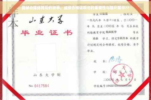 揭秘自媒体背后的故事，成绩合格证明书的重要性与图片展示??