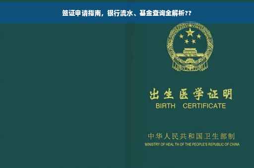 签证申请指南，银行流水、基金查询全解析??