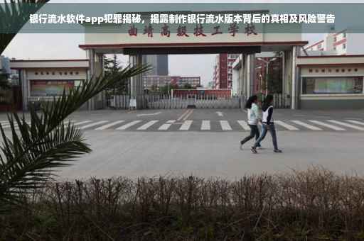 银行流水软件app犯罪揭秘，揭露制作银行流水版本背后的真相及风险警告