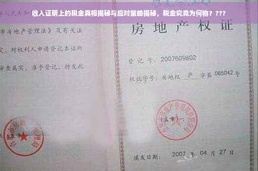 收入证明上的税金真相揭秘与应对策略揭秘，税金究竟为何物？???