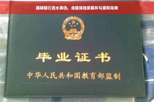 揭秘银行流水真伪，自媒体独家解析与鉴别指南