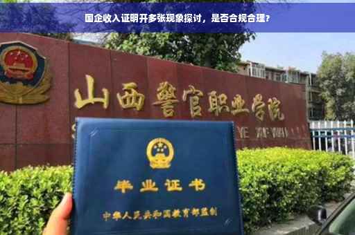 国企收入证明开多张现象探讨，是否合规合理？