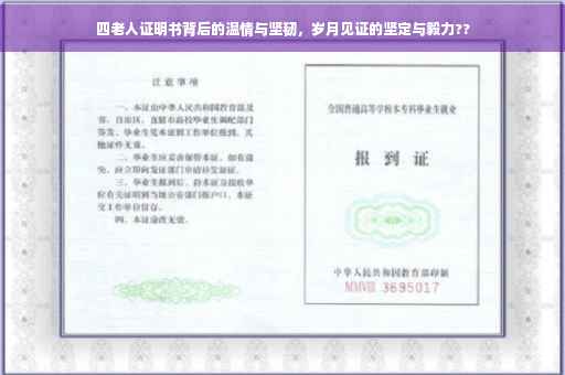 四老人证明书背后的温情与坚韧，岁月见证的坚定与毅力??