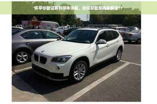 怀孕诊断证明书样本详解，如何获取及内容解读??