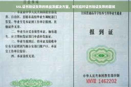 SSL证书验证失败的挑战及解决方案，如何应对证书验证失败的困扰
