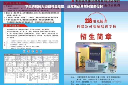 学生购房收入证明开具指南，现实挑战与应对策略探讨