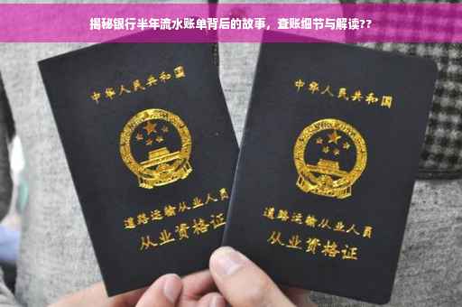 揭秘银行半年流水账单背后的故事，查账细节与解读??